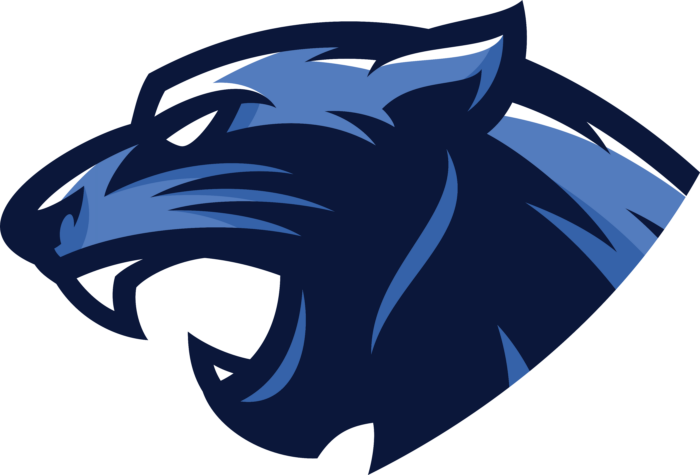 Panthers 12u